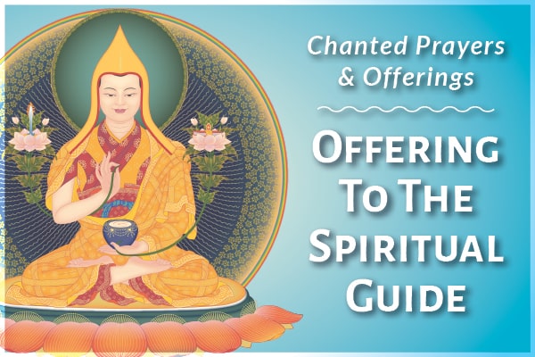 2023 600x400 OSG-min